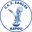 Logo CCT Eagles